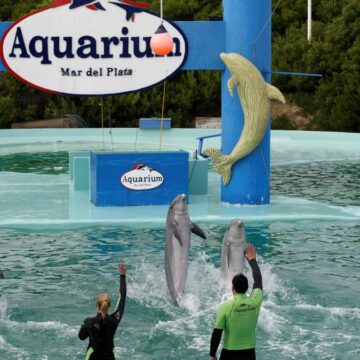 CIERRA DEFINITIVAMENTE EL AQUARIUM DE MAR DEL PLATA TRAS MÁS DE 30 AÑOS DE HISTORIA