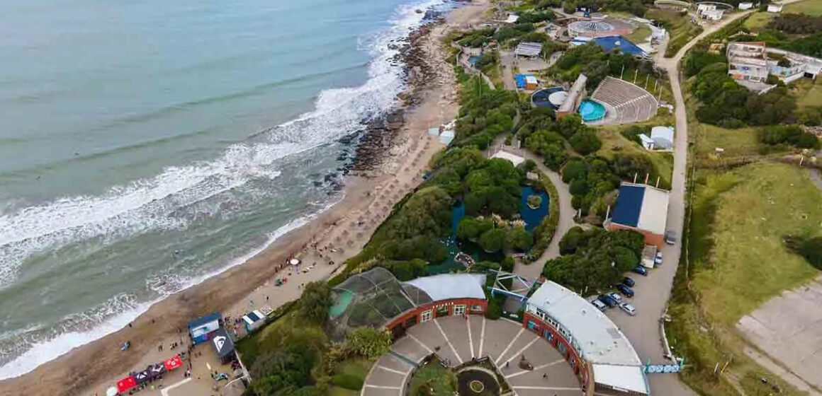 aquarium-mar-del-plata Fin de una era en Mar del Plata: ¿qué pasará con los animales del Aquarium tras su cierre definitivo?