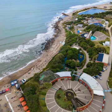 Fin de una era en Mar del Plata: ¿qué pasará con los animales del Aquarium tras su cierre definitivo?