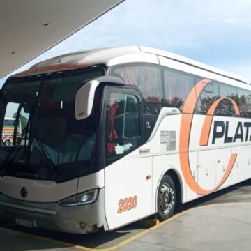 Inhabilitan a chofer de micro por no superar test de drogas en Mar del Plata