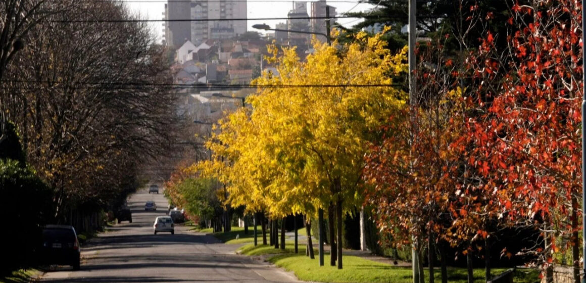 El otoño ya está entre nosotros: cómo prepararse para la estación más impredecible