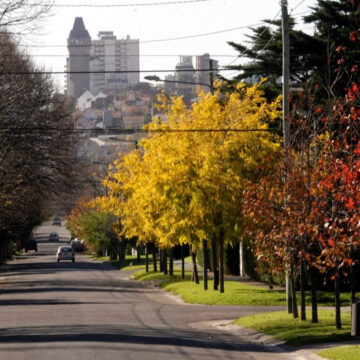 El otoño ya está entre nosotros: cómo prepararse para la estación más impredecible