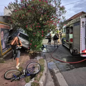 Revelan nuevos detalles de la persecución que terminó con una ciclista atropellada en Mar del Plata