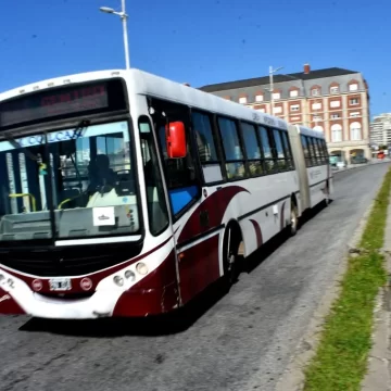 Paro nacional y reunión clave en Mar del Plata: qué pasará con los colectivos en la ciudad