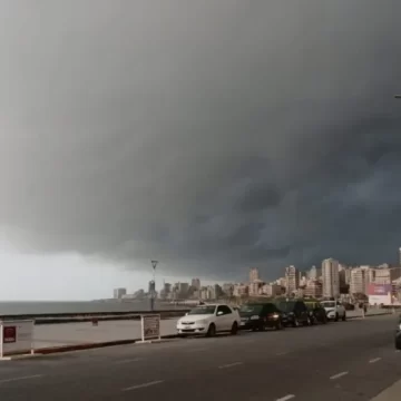 Temporal dejó voladuras de techos, más de 50 árboles caídos y cortes de luz en la ciudad