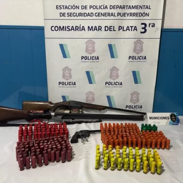 Importante secuestro de armas y municiones en el barrio Las Avenidas