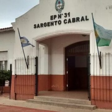 Desinfectaron, pero siguen apareciendo ratas en la Escuela 31: el Consejo Escolar explicó los motivos