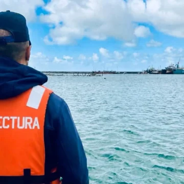 Prefectura refuerza medidas de prevención por el avistaje de ballenas en Mar del Plata