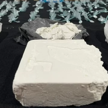 La defensa pidió la nulidad de la causa contra los hermanos acusados de vender cocaína con el sello “Delfín”