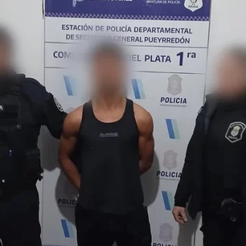 Intentó robarle a un vecino y lo atacó a piedrazos al no poder concretar el robo