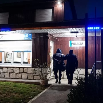 Intentó robarle a un matrimonio mientras dormía y cayó dentro de la casa tras trepar un paredón